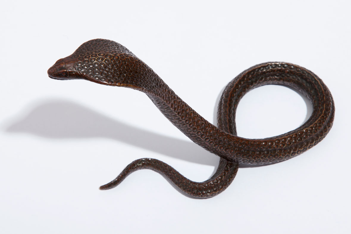 Dunand Snake